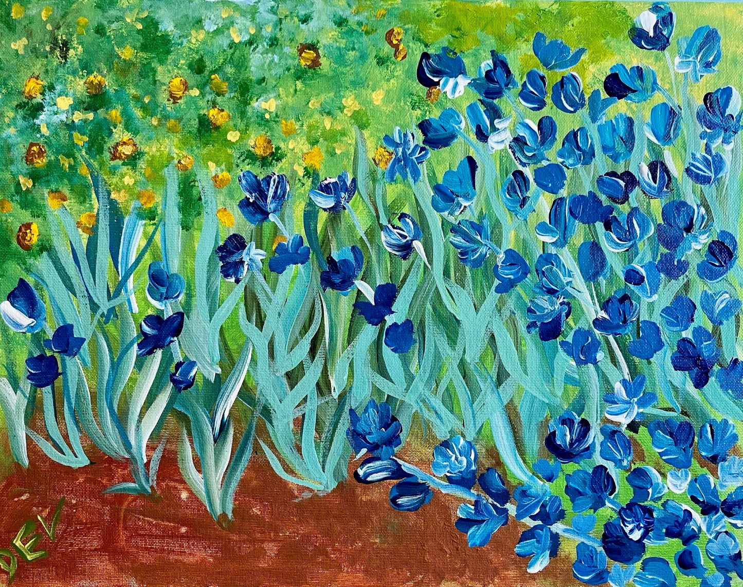 Caddy Flower Field