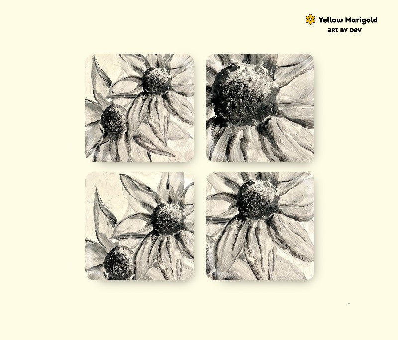 Square Coasters - White Sunflower
